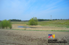 Nieruchomości Gorzów - Duża działka 22,5ha,pod farmę foto!